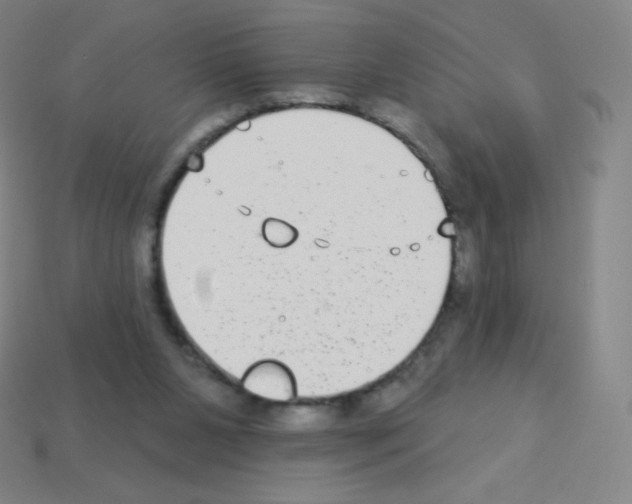 X0000113100111200910091147