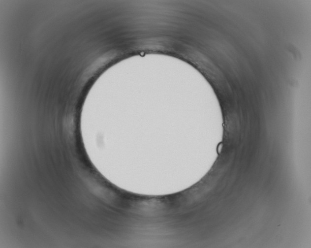 X0000113100112200910091147