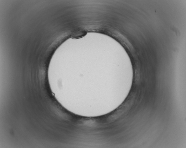 X0000113100113200910091147