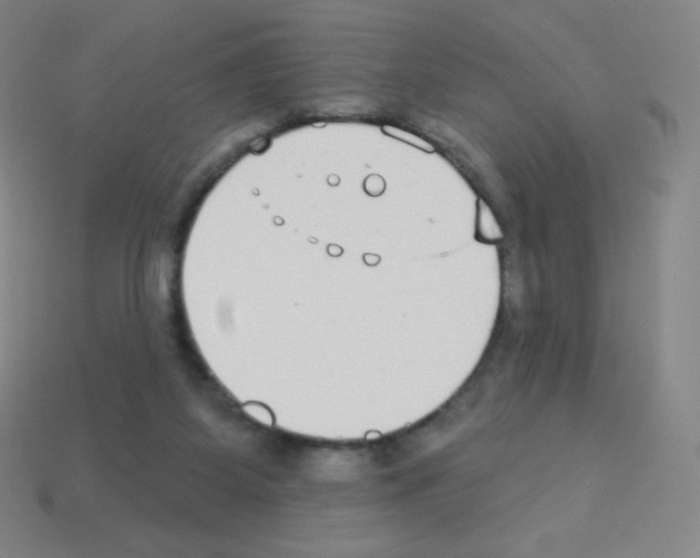 X0000113100115200910091147