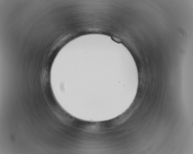 X0000113100116200910091147