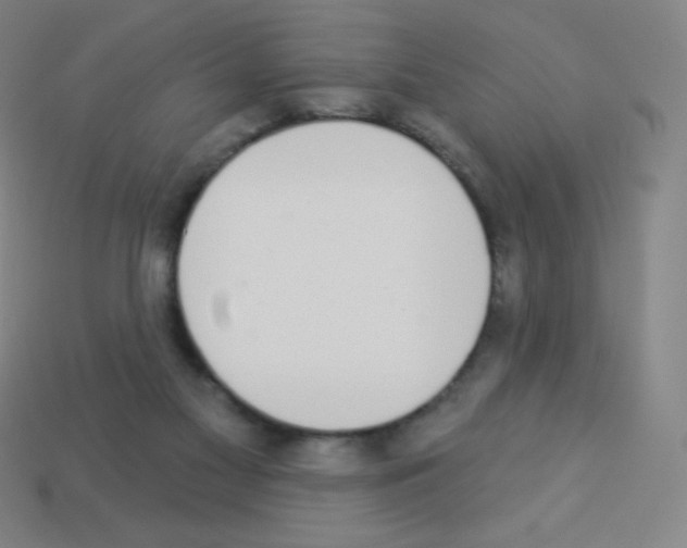 X0000113100117200910091147