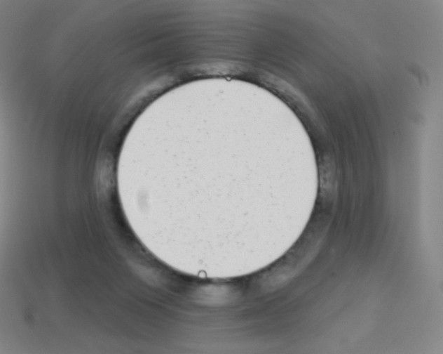 X0000113100119200910091147