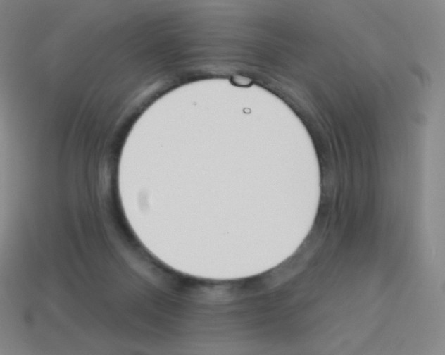 X0000113100120200910091147