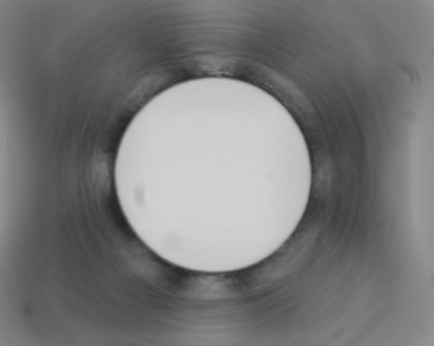 X0000113100121200910091147