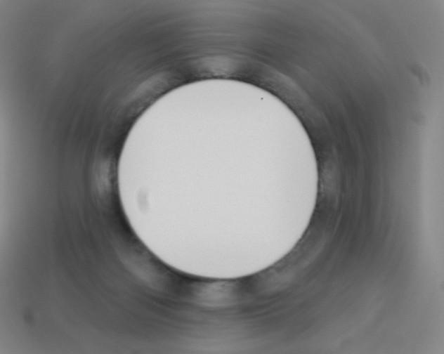 X0000113100122200910091147