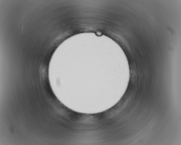 X0000113100123200910091147
