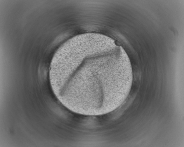 X0000113100124200910091147