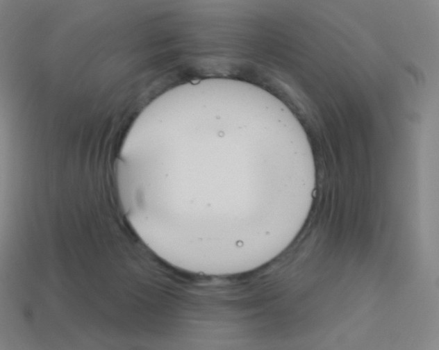 X0000113100125200910091147