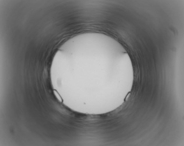 X0000113100128200910091147