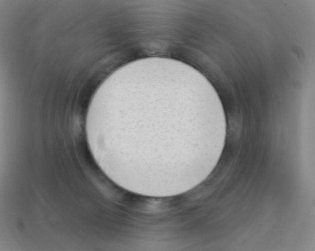 X0000113100130200910091147