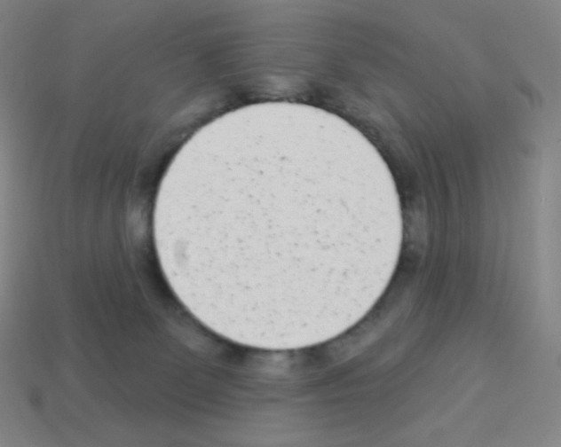X0000113100131200910091147