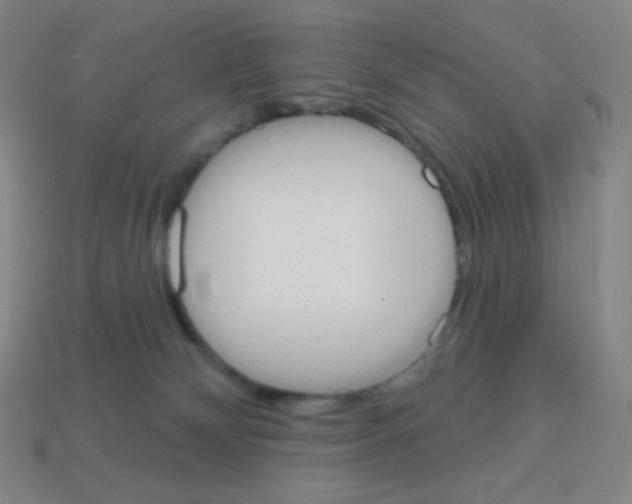 X0000113100132200910091147