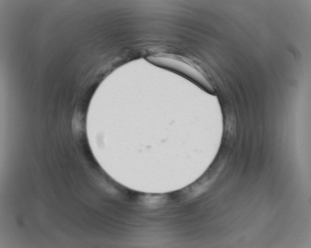X0000113100135200910091147