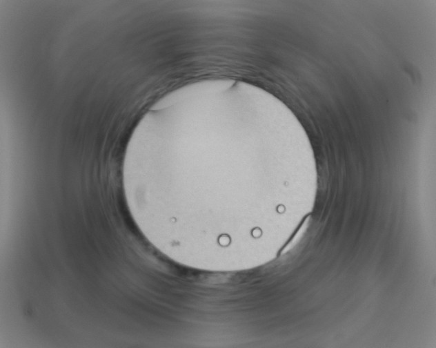 X0000113100136200910091147