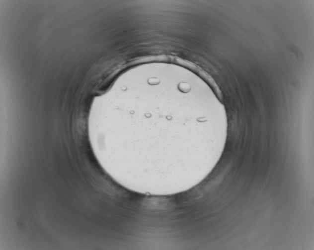 X0000113100137200910091147