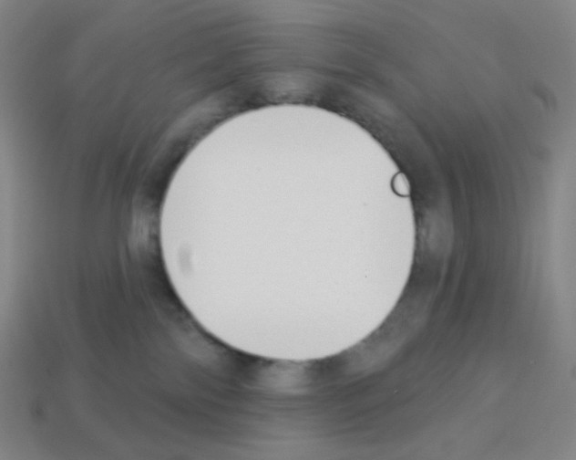 X0000113100138200910091147