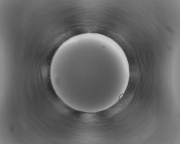 X0000113100139200910091147