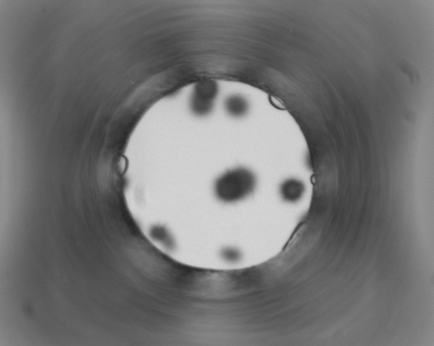 X0000113100140200910091147