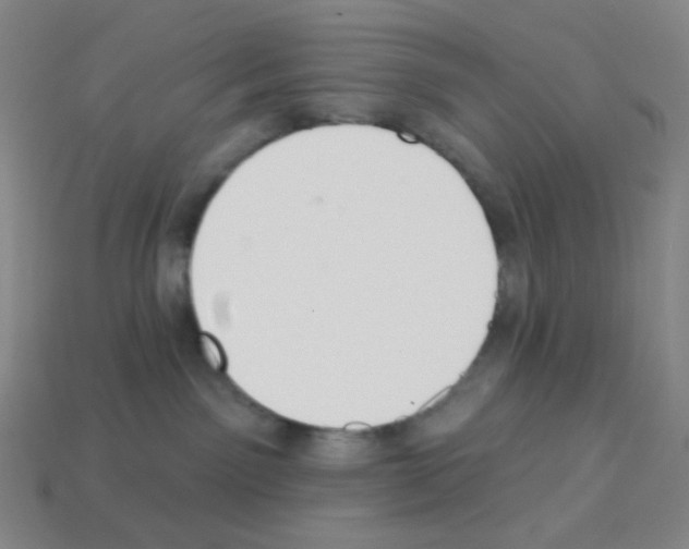 X0000113100141200910091147