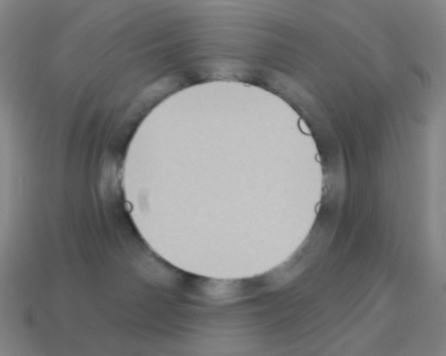 X0000113100142200910091147