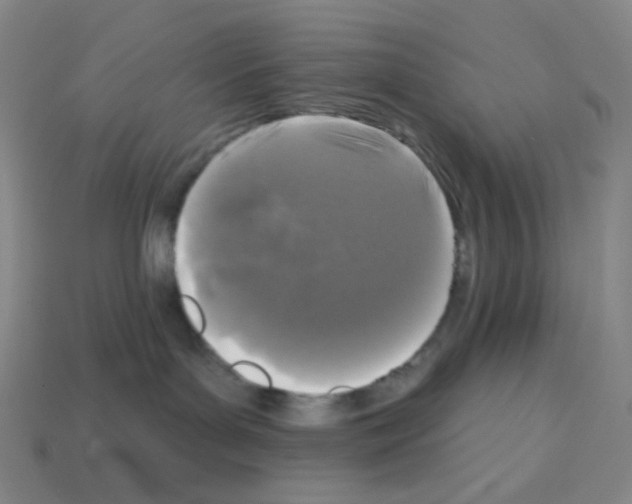X0000113100143200910091147