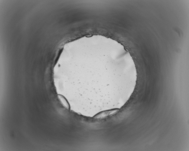 X0000113100144200910091147