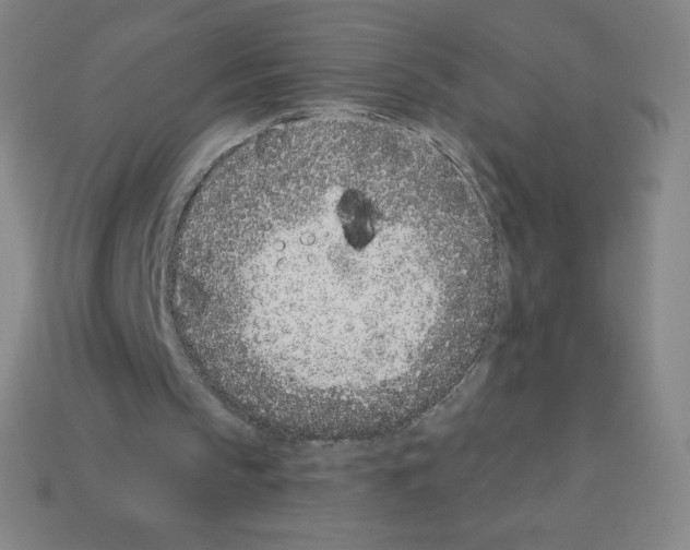 X0000113100145200910091146