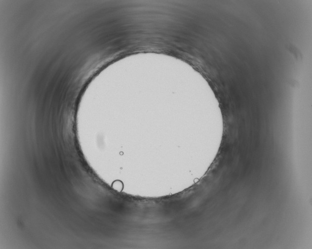 X0000113100146200910091146