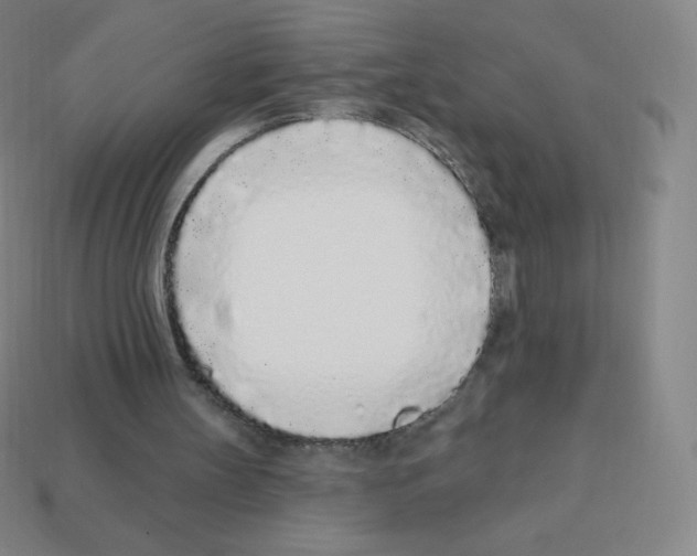 X0000113100147200910091146