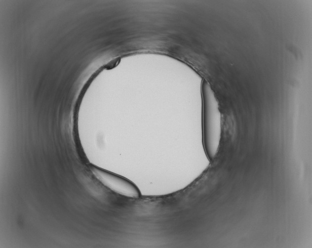 X0000113100148200910091146