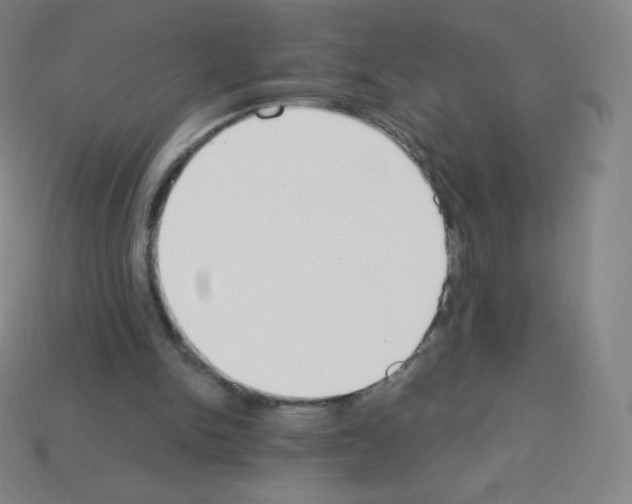 X0000113100150200910091146