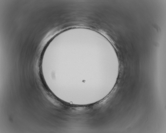 X0000113100151200910091146