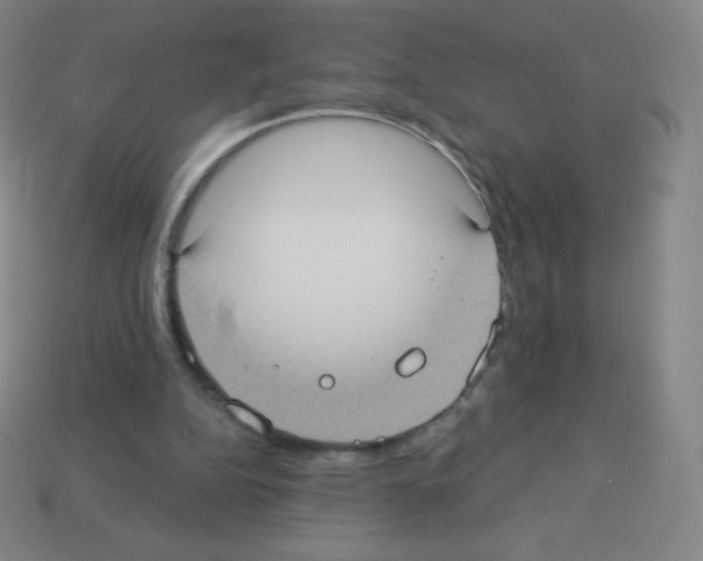 X0000113100152200910091146