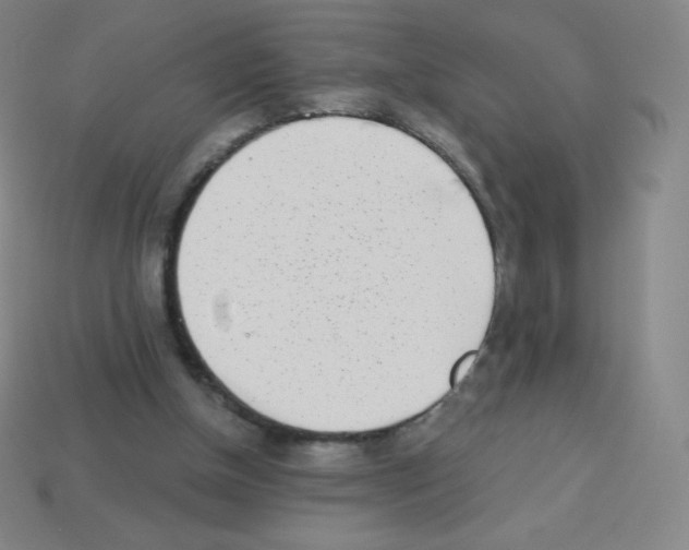 X0000113100154200910091146