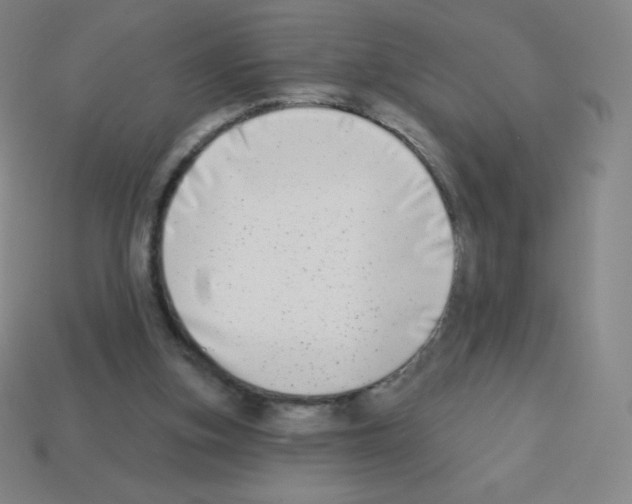 X0000113100155200910091146