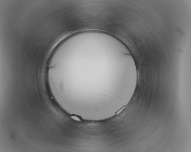 X0000113100156200910091146