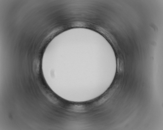 X0000113100157200910091146