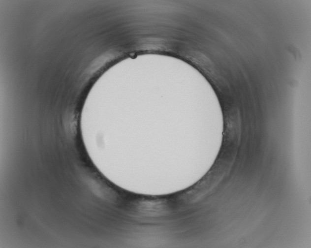 X0000113100160200910091146
