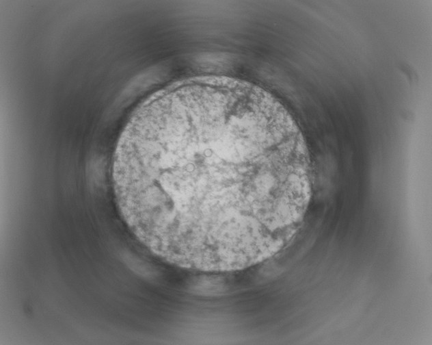X0000113100162200910091146