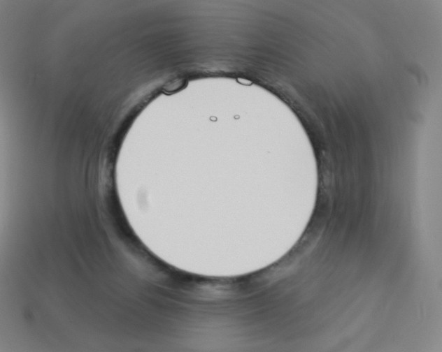 X0000113100164200910091146