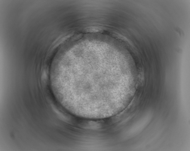 X0000113100166200910091146