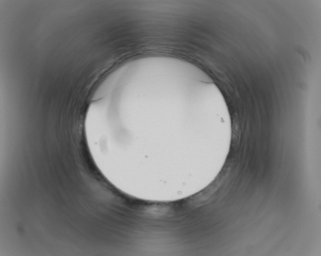 X0000113100168200910091146