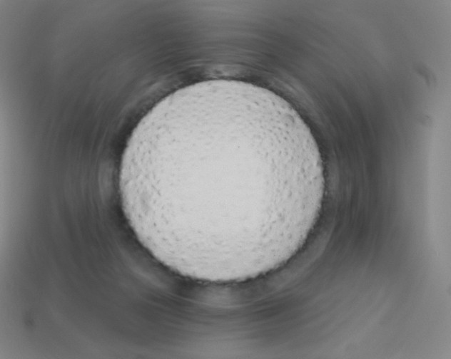 X0000113100169200910091146