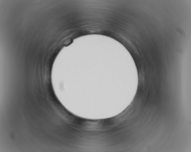 X0000113100170200910091146