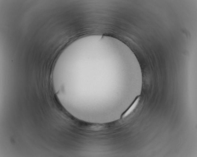X0000113100172200910091146