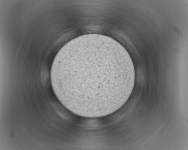X0000113100173200910091146