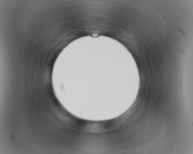 X0000113100174200910091146