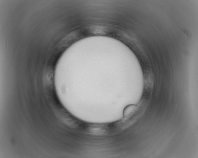 X0000113100175200910091147