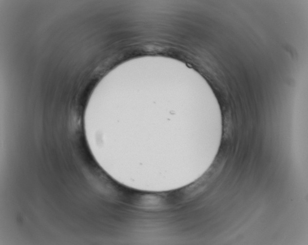 X0000113100176200910091147